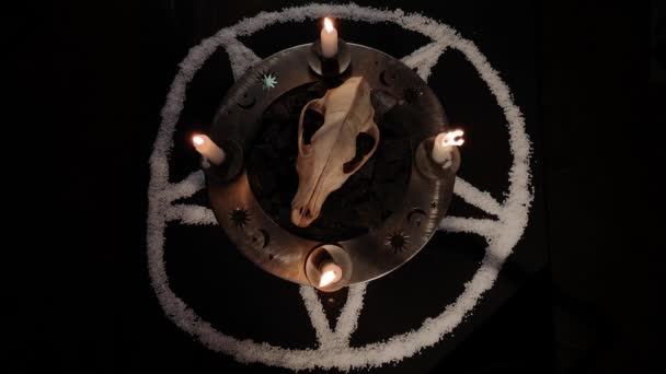 Natura Morta Metaforica Simboli Occulti — Video Stock