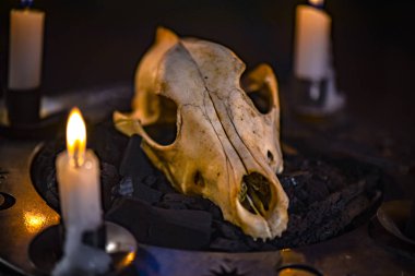 Okült sembollerin metaforik durgun yaşamı