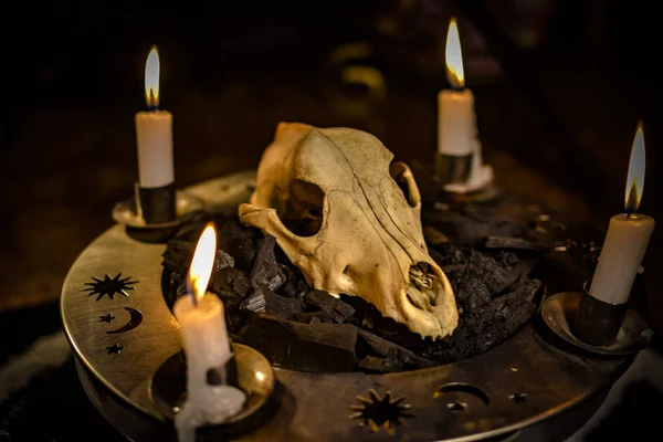 Natura Morta Metaforica Simboli Occulti — Foto Stock