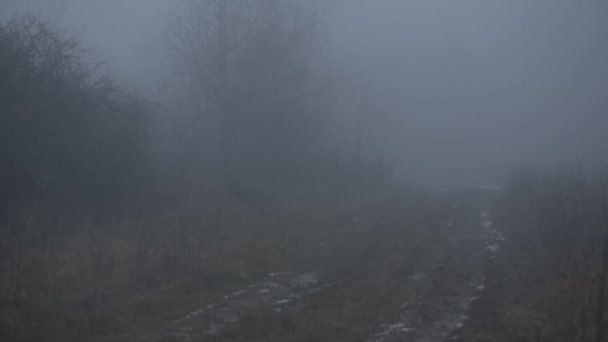 スーフは濃霧の中を旅する — ストック動画