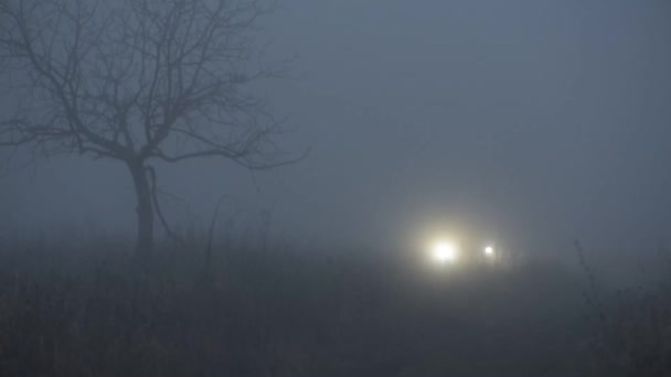 Suv Viaja Niebla Pesada — Vídeo de stock