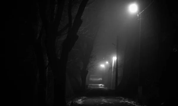 Gece Avcısı Denilen Manzara — Stok fotoğraf