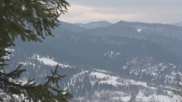 Winterlandschap Karpaten — Stockvideo