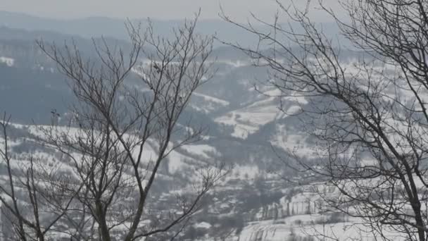 Zimowy Krajobraz Karpatach — Wideo stockowe