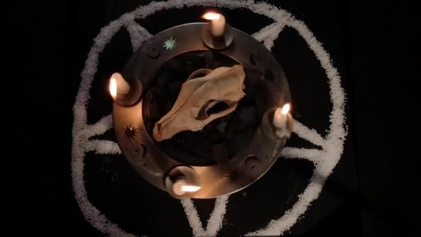 Natura Morta Metaforica Simboli Occulti — Video Stock