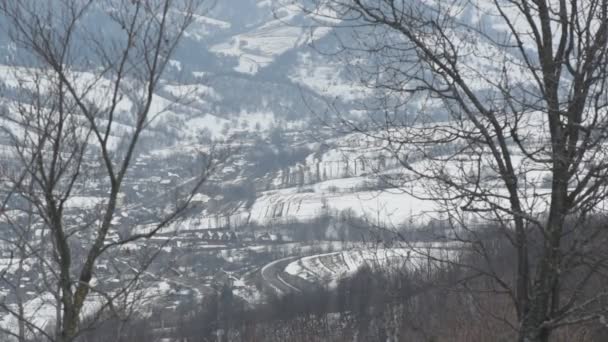 Paisagem Inverno Nos Cárpatos — Vídeo de Stock