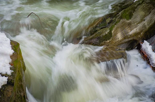 Sníh Taje Horském Lese — Stock fotografie