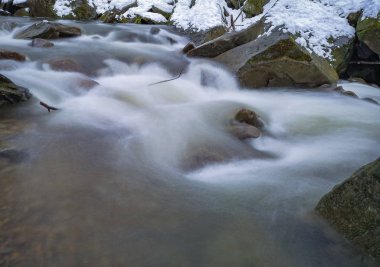 Dağ ormanlarında kar erir.
