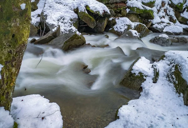 Neige Fond Dans Une Forêt Montagne — Photo