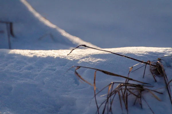 日落时分的雪地景观 — 图库照片