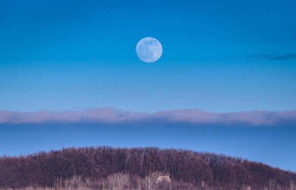 Moon over the forest 