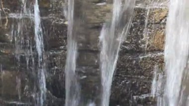 Dağ ormanındaki taş gibi.