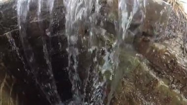 Dağ ormanındaki taş gibi.