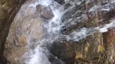Dağ ormanındaki taş gibi.