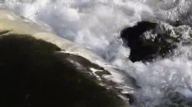 Dağ ormanlarında kar erir.