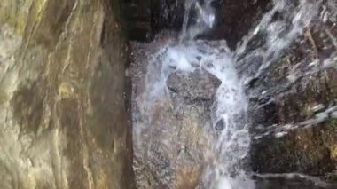 Dağ ormanındaki taş gibi.