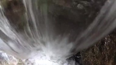 Dağ ormanındaki taş gibi.