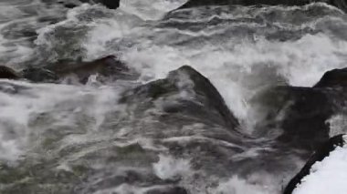 Dağ ormanlarında kar erir.