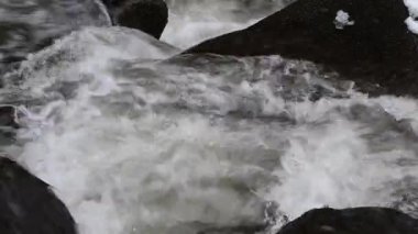 Dağ ormanlarında kar erir.