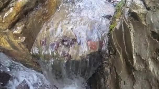 Pedra Bem Uma Floresta Montanha — Vídeo de Stock