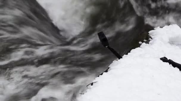 Сніг Тане Гірському Лісі — стокове відео