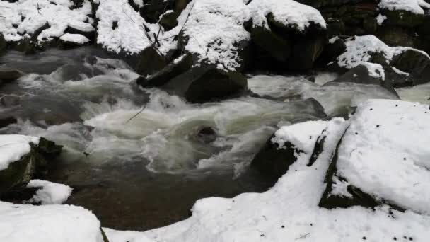 Nieve Derrite Bosque Montaña — Vídeo de stock