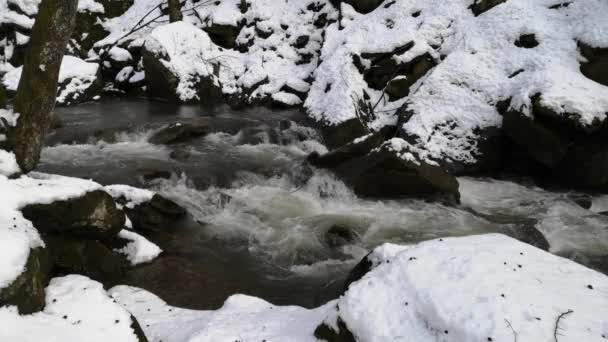 Schnee Schmilzt Bergwald — Stockvideo