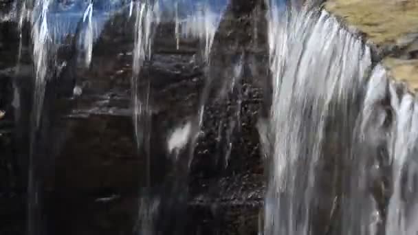 Stenen Inktkoker Een Berg Woud — Stockvideo