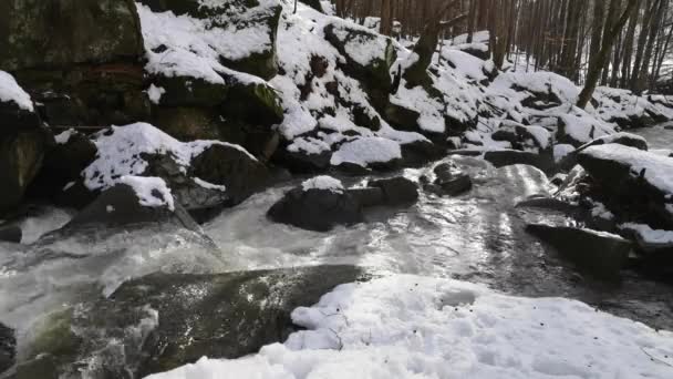 Nieve Derrite Bosque Montaña — Vídeo de stock