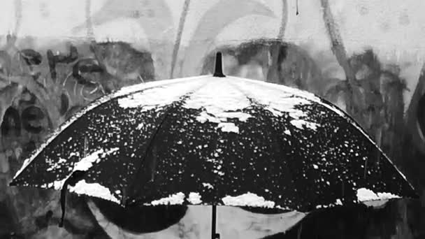 Zwarte Paraplu Tijdens Sneeuwval — Stockvideo