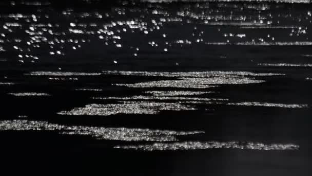 山河上的冰漂流 — 图库视频影像