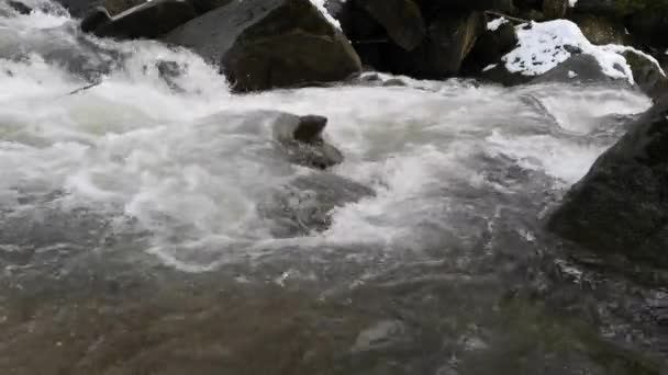 Śnieg Topnieje Górskim Lesie — Wideo stockowe