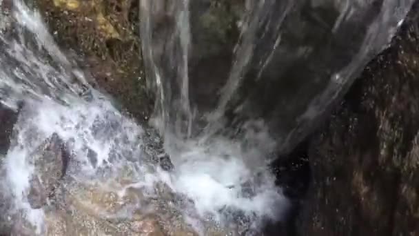 Kamienna Studnia Górskim Lesie — Wideo stockowe