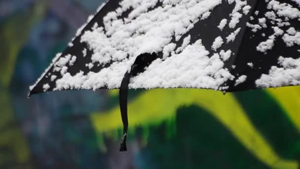 Μαύρη Ομπρέλα Κατά Χιονόπτωση — Αρχείο Βίντεο