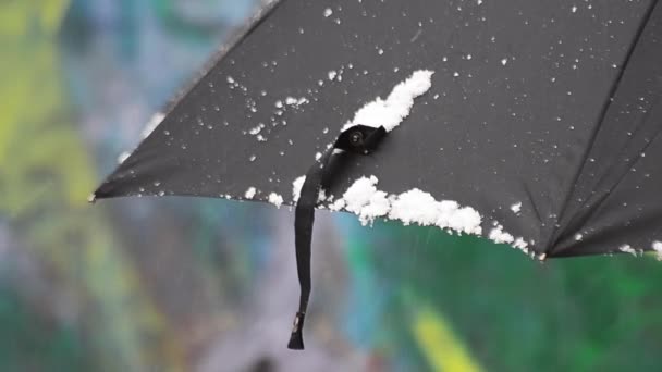 Parapluie Noir Pendant Les Chutes Neige — Video