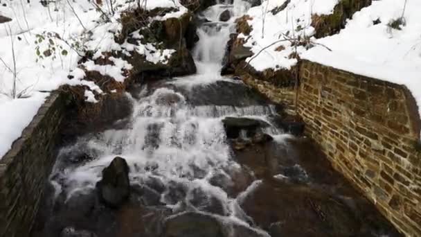 Neve Derrete Uma Floresta Montanha — Vídeo de Stock