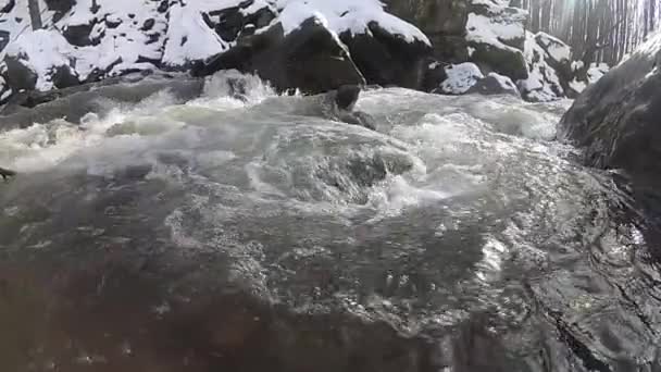 Nieve Derrite Bosque Montaña — Vídeo de stock