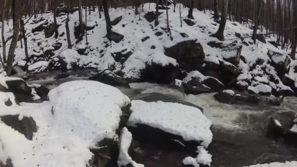 Nieve Derrite Bosque Montaña — Vídeo de stock