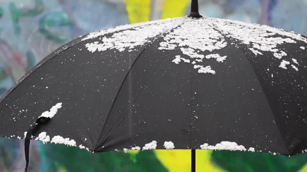 Black Umbrella Snowfall — Stock Video