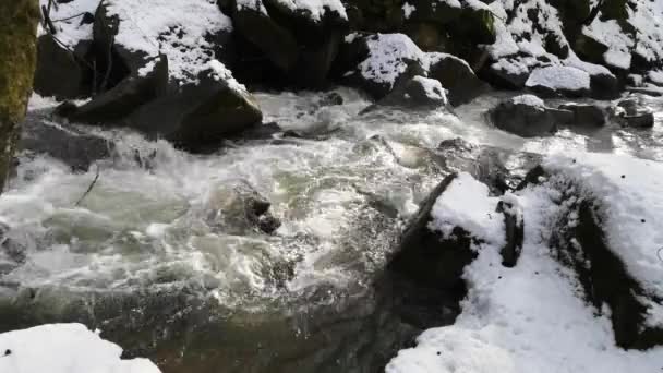 Neve Derrete Uma Floresta Montanha — Vídeo de Stock