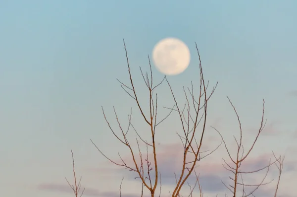 Paysage Nocturne Avec Pleine Lune — Photo