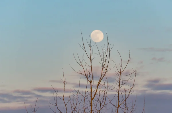 Paisagem Chamada Ápice Lunar — Fotografia de Stock