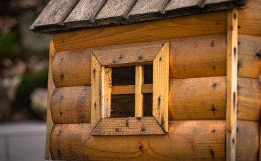 Kışın terk edilmiş bir çiçek tarlasının besleyici süslemesi.