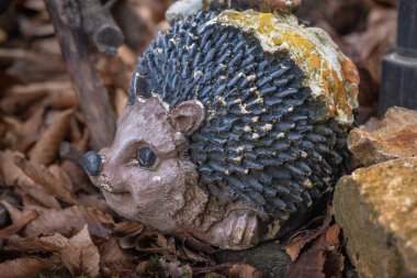 Kışın terk edilmiş bir çiçek tarlasının kirpi süslemesi