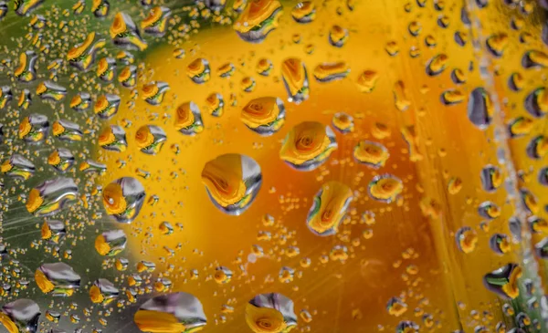 Natureza Morta Chamada Gotas Rosas — Fotografia de Stock