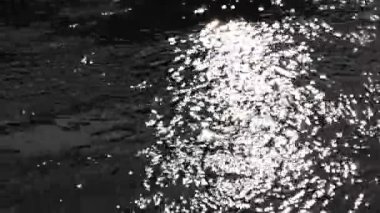 Karpat Dağları 'nda akan nehir.