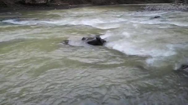 Rivière de montagne en hiver remplie de minéraux du sol 