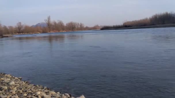 Voll Fließender Gebirgsfluss Den Karpaten — Stockvideo