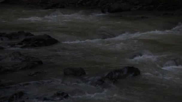 Rivière Montagne Hiver Remplie Minéraux Sol — Video