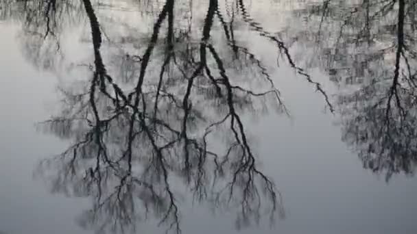 Reflexe Krajiny Západu Slunce Tekoucí Horské Řece — Stock video